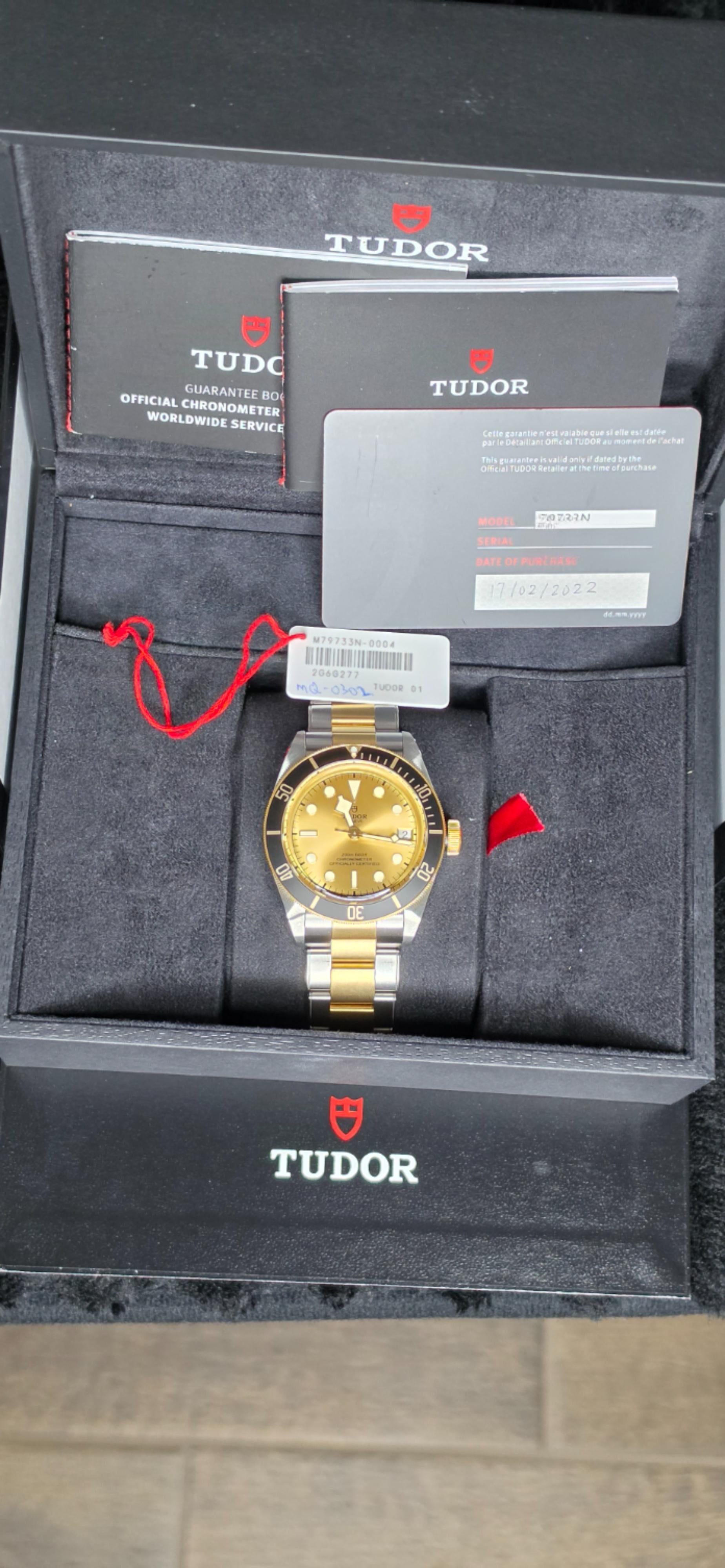 Tudor Black Bay S&G Reference #79733N — Champagne Dial, 18K Gold Bezel & Center Links