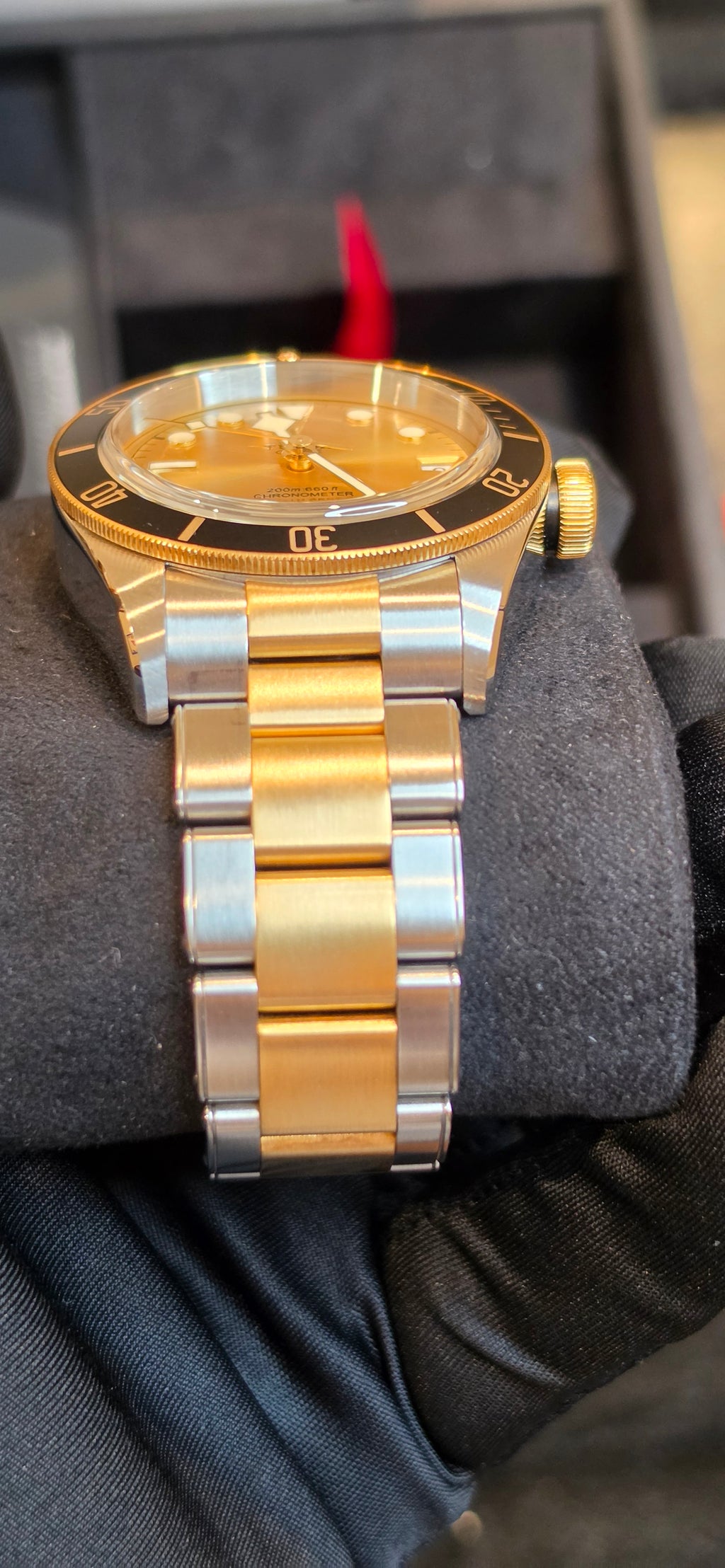 Tudor Black Bay S&G Reference #79733N — Champagne Dial, 18K Gold Bezel & Center Links