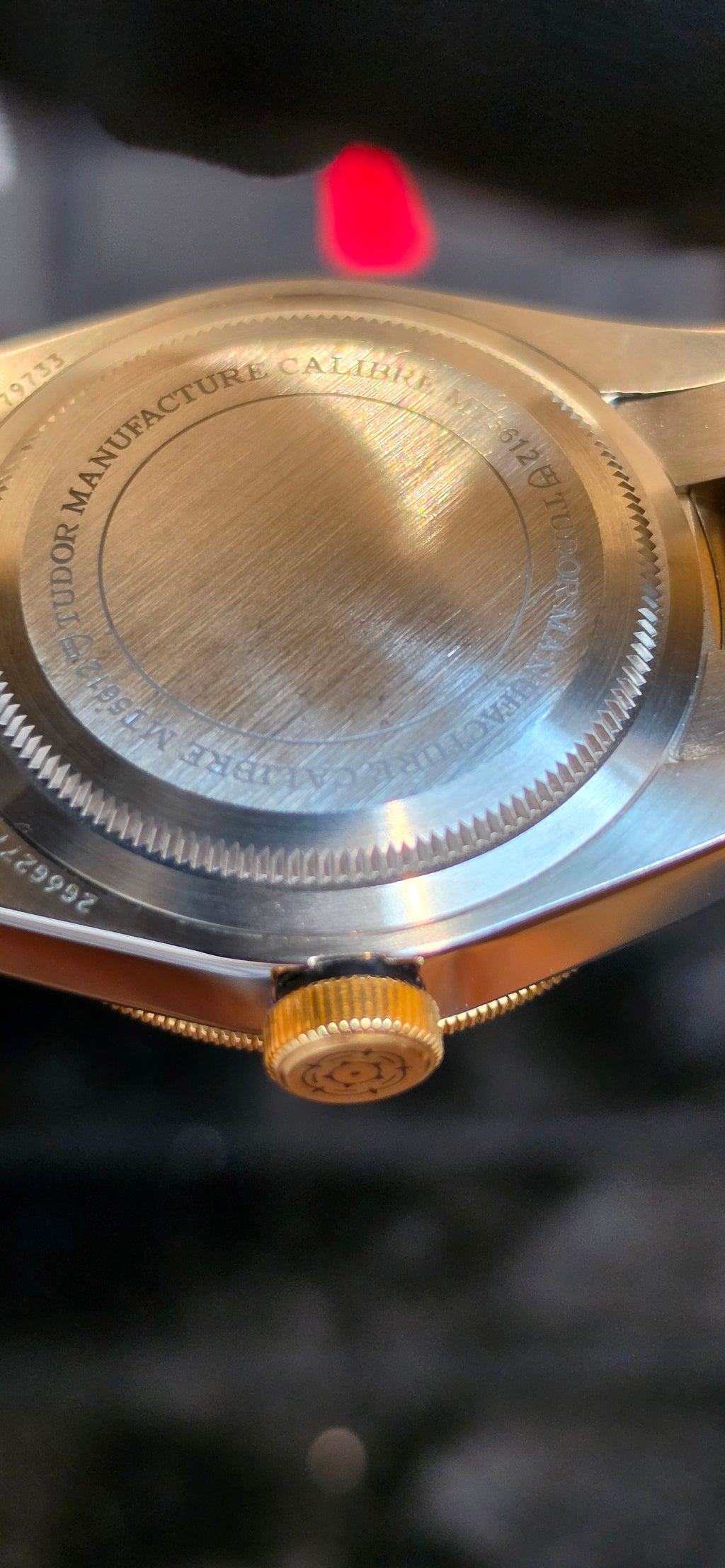 Tudor Black Bay S&G Reference #79733N — Champagne Dial, 18K Gold Bezel & Center Links